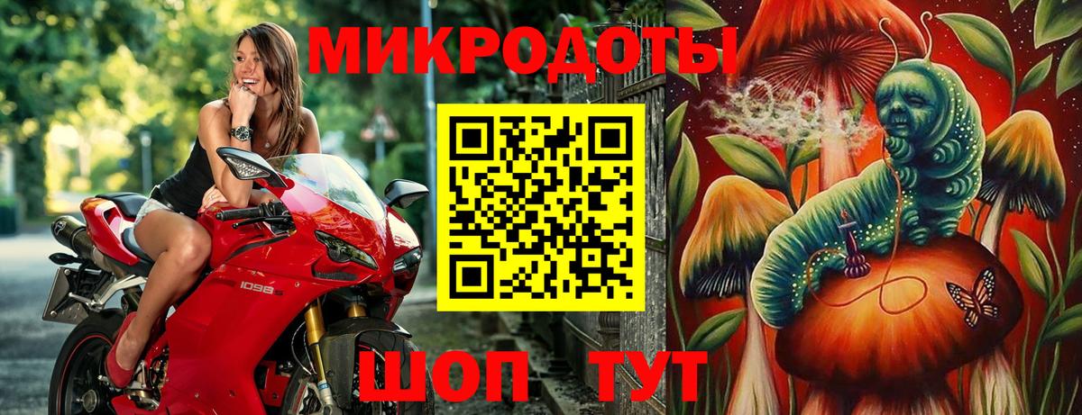 Ногинск  Галлюциногенные грибы Psilocybine cubensis  Вход с VPN 