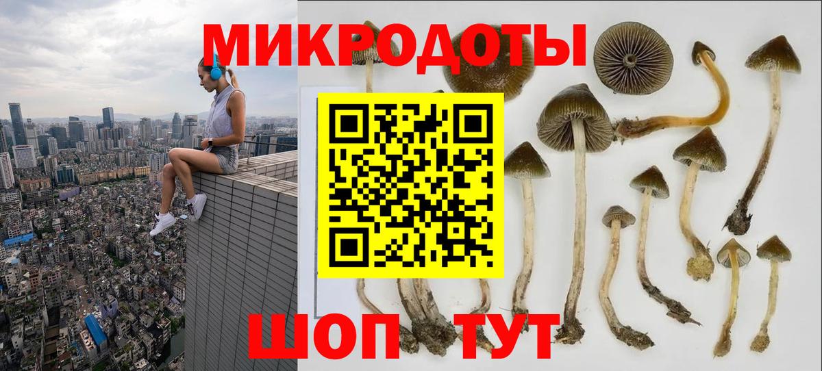 Галлюциногенные грибы Cubensis Ногинск